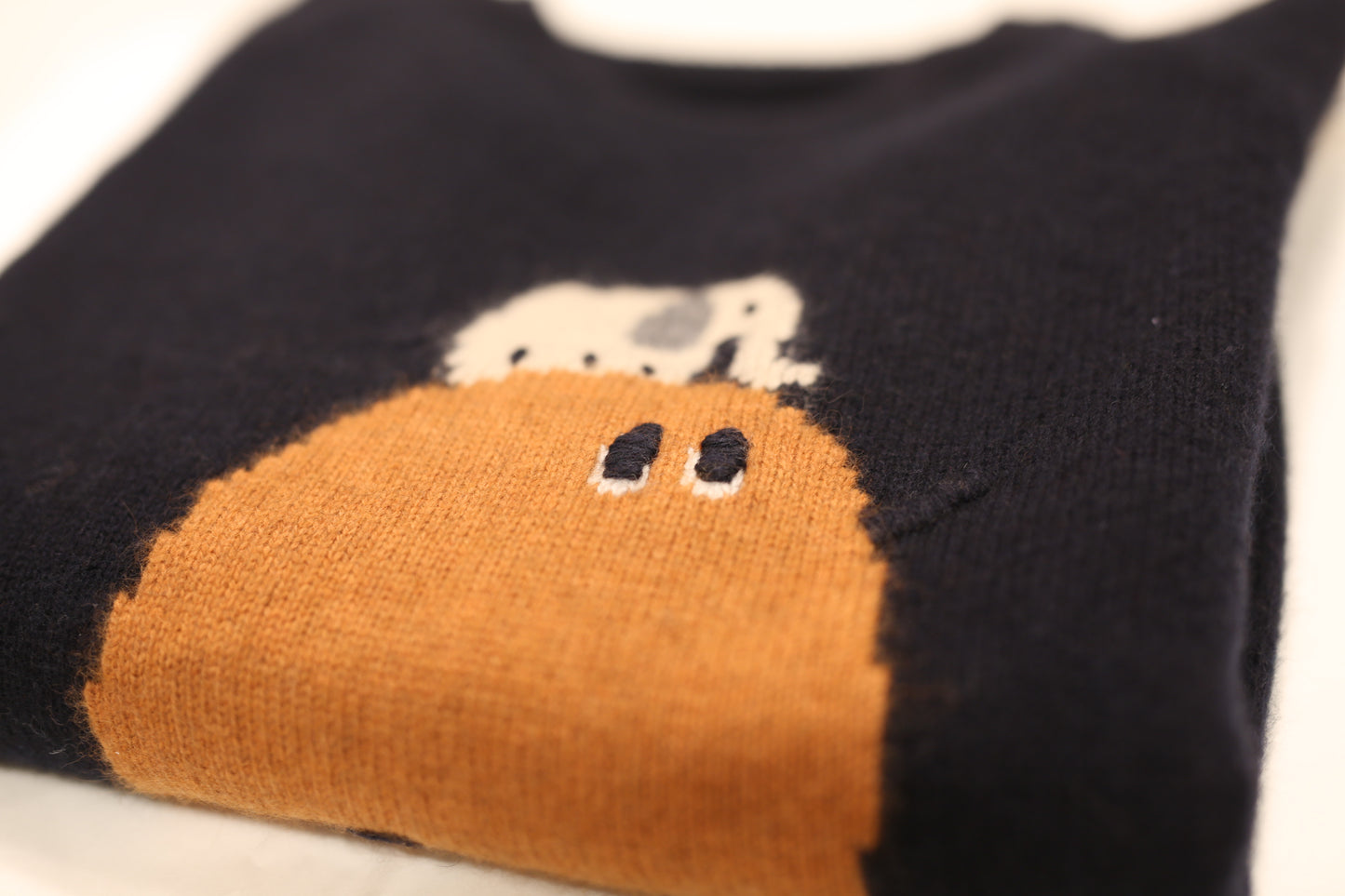 Embroidered Avian Pull Over Wool Sweater