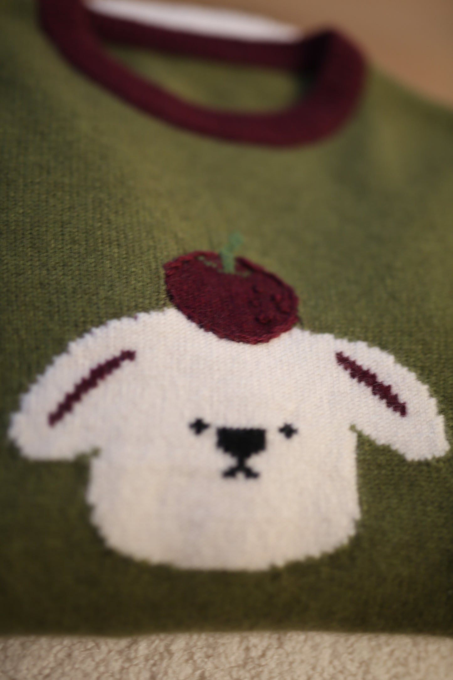 Hand embroidered apple sweater