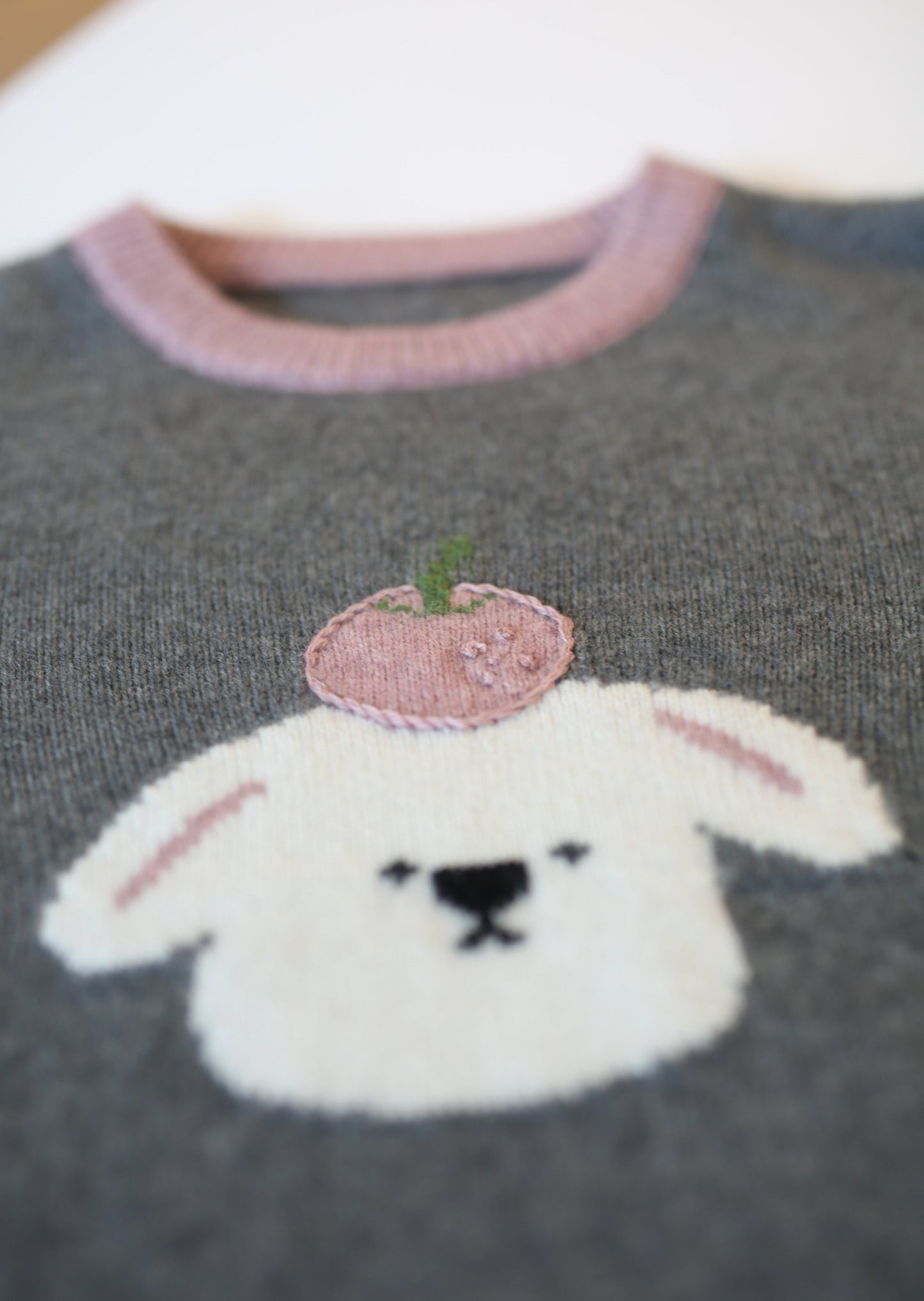 Hand embroidered apple sweater